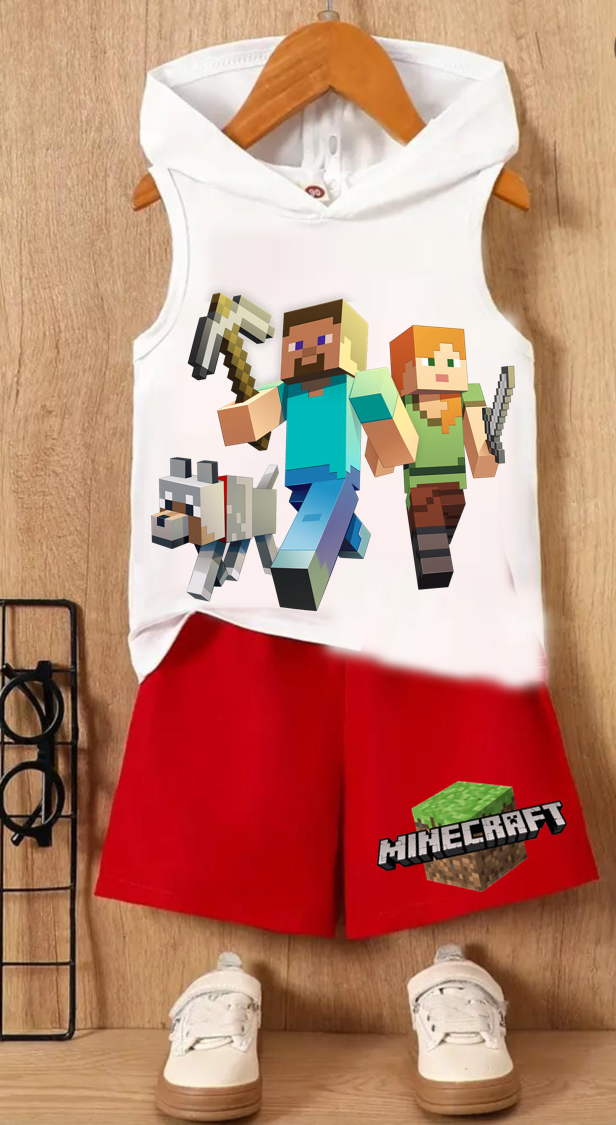 CONJUNTO MINECRAFT